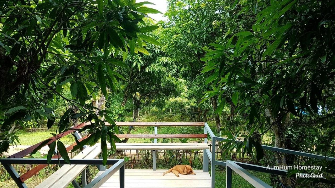 Aum Hum Homestay Fang Exterior photo