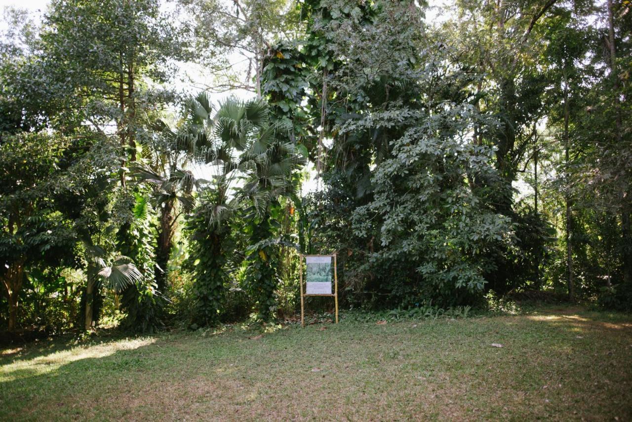 Aum Hum Homestay Fang Exterior photo