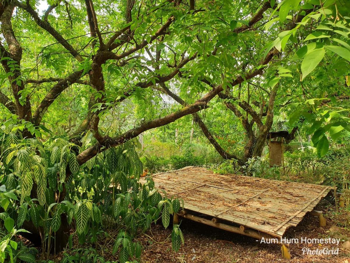 Aum Hum Homestay Fang Exterior photo